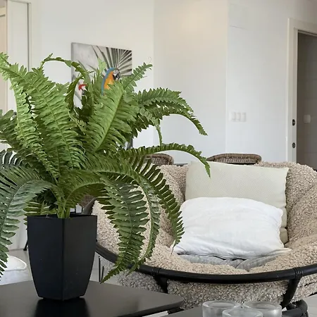 003 Modern Seaview- Alicante Апартаменти Торрев'єха